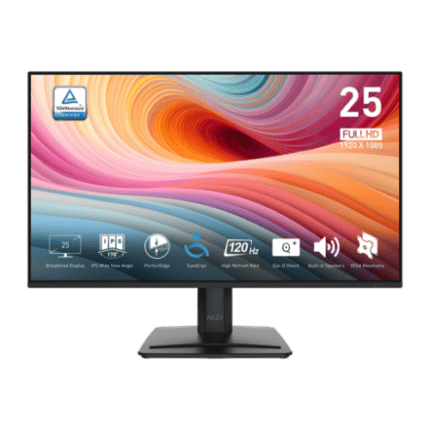 MSI PRO MP251 E2 24.5-in IPS FHD Gaming Office Monitor