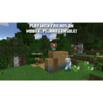 Nintendo Switch Minecraft